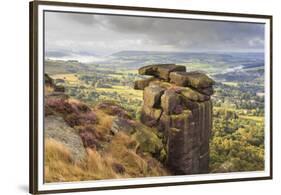 Curbar Edge, Summer Heather, View Towards Chatsworth, Peak District National Park, Derbyshire-Eleanor Scriven-Framed Premium Photographic Print