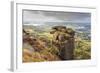 Curbar Edge, Summer Heather, View Towards Chatsworth, Peak District National Park, Derbyshire-Eleanor Scriven-Framed Photographic Print