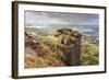 Curbar Edge, Summer Heather, View Towards Chatsworth, Peak District National Park, Derbyshire-Eleanor Scriven-Framed Photographic Print