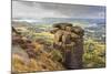 Curbar Edge, Summer Heather, View Towards Chatsworth, Peak District National Park, Derbyshire-Eleanor Scriven-Mounted Photographic Print