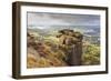 Curbar Edge, Summer Heather, View Towards Chatsworth, Peak District National Park, Derbyshire-Eleanor Scriven-Framed Photographic Print