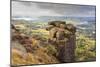 Curbar Edge, Summer Heather, View Towards Chatsworth, Peak District National Park, Derbyshire-Eleanor Scriven-Mounted Photographic Print