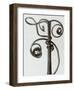 Curcubita, Pumpkin Tendril-Karl Blossfeldt-Framed Art Print