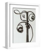 Curcubita, Pumpkin Tendril-Karl Blossfeldt-Framed Art Print