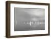 Curinga Scenes2 I-Kim Curinga-Framed Photographic Print