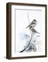 Curiosity 1-Design Fabrikken-Framed Art Print