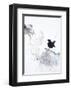 Curiosity 2-Design Fabrikken-Framed Art Print