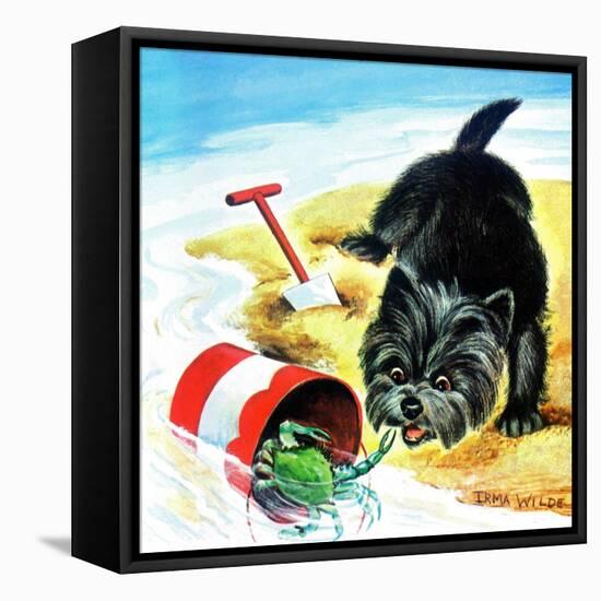 Curiosity and the Crab - Jack & Jill-Irma Wilde-Framed Stretched Canvas