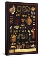 Curiosity Cabinet Under Water Educational Chart Poster-null-Framed Poster