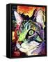Curiosity Cat-Dean Russo-Framed Stretched Canvas
