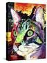 Curiosity Cat-Dean Russo-Stretched Canvas