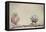 Curiosity of Chick-Eyal Amer-Framed Stretched Canvas