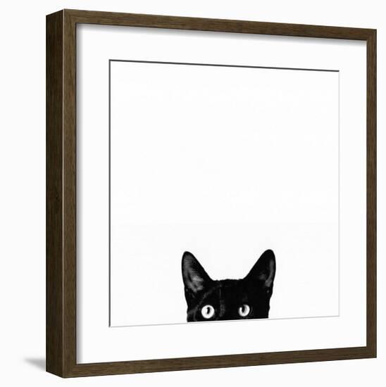 Curiosity-Jon Bertelli-Framed Art Print