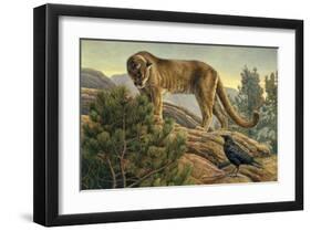 Curiosity-Kalon Baughan-Framed Art Print