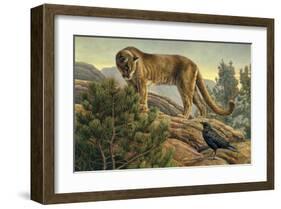 Curiosity-Kalon Baughan-Framed Art Print