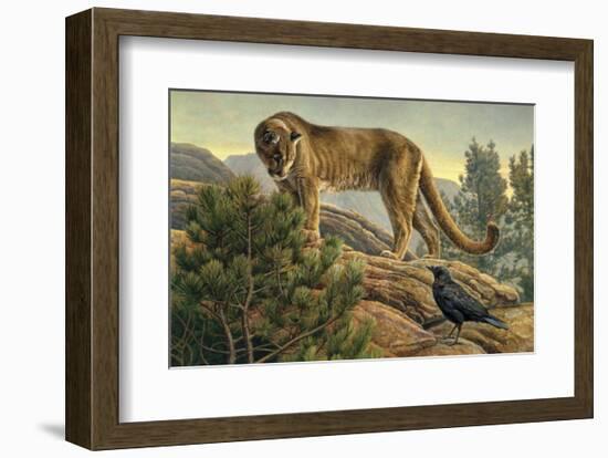 Curiosity-Kalon Baughan-Framed Art Print