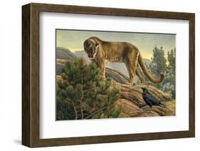 Curiosity-Kalon Baughan-Framed Art Print