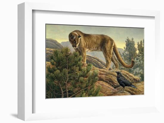 Curiosity-Kalon Baughan-Framed Art Print