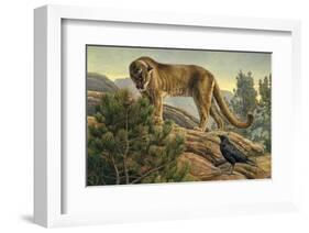 Curiosity-Kalon Baughan-Framed Art Print