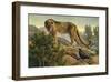 Curiosity-Kalon Baughan-Framed Giclee Print