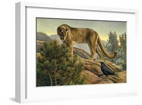 Curiosity-Kalon Baughan-Framed Giclee Print