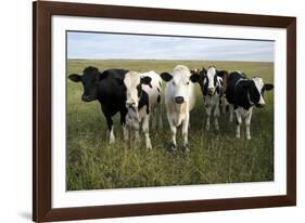 Curiosity-Bill Coleman-Framed Giclee Print