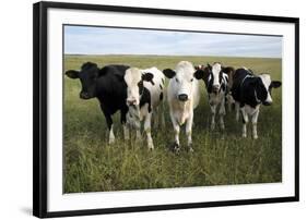 Curiosity-Bill Coleman-Framed Giclee Print