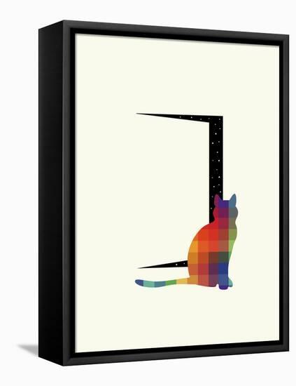 Curiosity-Andy Westface-Framed Stretched Canvas