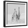 Curiosity-James Cai-Framed Photographic Print