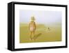 Curiosity-Carlos Casamayor-Framed Stretched Canvas