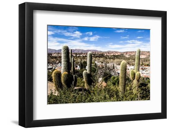 Premium Photographic Print, , large