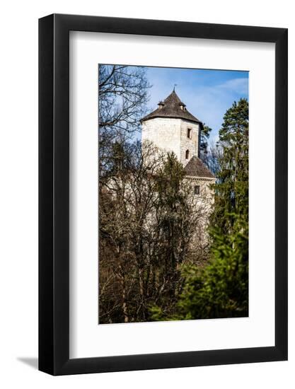 Premium Photographic Print, , large