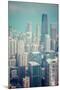 Wood Mount