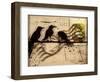 Curious Birds-Roderick E. Stevens-Framed Giclee Print