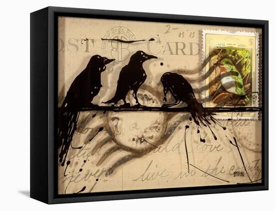 Curious Birds-Roderick E. Stevens-Framed Stretched Canvas