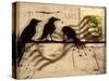 Curious Birds-Roderick E. Stevens-Stretched Canvas