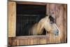 Curious Brown Horse Looking out Stable Window-elenathewise-Mounted Photographic Print