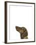 Curious Canine-Assaf Frank-Framed Giclee Print