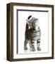 Curious Cat-null-Framed Art Print