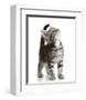 Curious Cat-null-Framed Art Print