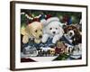 Curious Christmas Pups-Jenny Newland-Framed Giclee Print