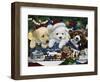 Curious Christmas Pups-Jenny Newland-Framed Giclee Print