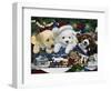 Curious Christmas Pups-Jenny Newland-Framed Giclee Print