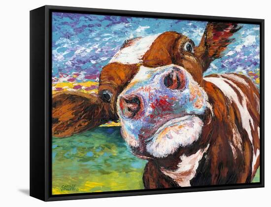 Curious Cow I-Carolee Vitaletti-Framed Stretched Canvas