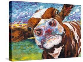 Curious Cow I-Carolee Vitaletti-Stretched Canvas