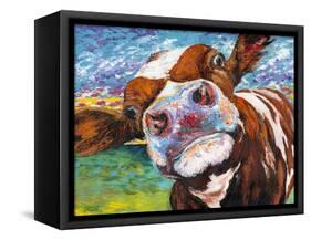 Curious Cow I-Carolee Vitaletti-Framed Stretched Canvas