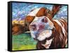 Curious Cow I-Carolee Vitaletti-Framed Stretched Canvas