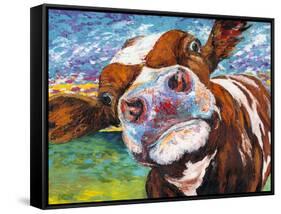 Curious Cow I-Carolee Vitaletti-Framed Stretched Canvas