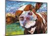 Curious Cow I-Carolee Vitaletti-Mounted Art Print