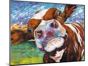 Curious Cow I-Carolee Vitaletti-Mounted Art Print